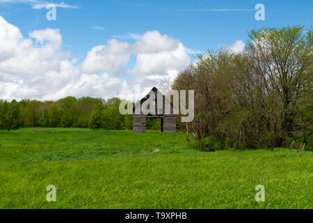 Alte verwitterte Holz- Scheune in Gras Wiese auf einer Feder am Nachmittag. Illinois Stockfoto