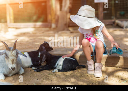 Kleines Mädchen Feeds eine Ziege an einen Kinder Streichelzoo Stockfoto