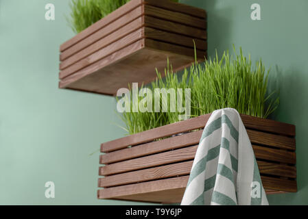 Holzkisten mit wachsenden grünes Gras an der Wand in der Küche Stockfoto