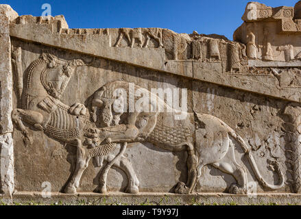 Bas-Relief Schnitzereien an Persepolis in Schiraz, Iran Stockfoto