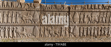 Bas-Relief Schnitzereien an Persepolis in Schiraz, Iran Stockfoto