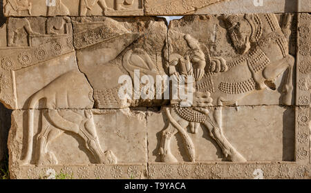 Bas-Relief Schnitzereien an Persepolis in Schiraz, Iran Stockfoto