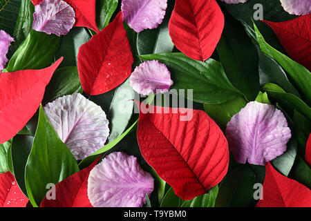 Verschiedene tropische Blätter als Hintergrund Stockfoto