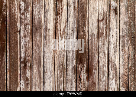 Veraltete, strukturierte vertikale Holzdielen, flacher grauer Hintergrund Stockfoto