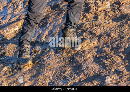 Beine in grauen Hosen und Trek Stiefel wandern nach oben Auf matschigen Hügel an der Abendsonne. Stockfoto