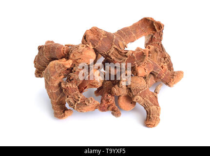 Alpinia officinarum, bekannt als weniger Galgant, oder Havlucan. Getrocknete Wurzel. Auf weißem Hintergrund, Stockfoto