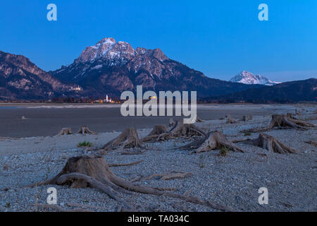 Baumstumpf in trockenen Forggensee nach Sonnenuntergang mit Blick auf das Schloss Neuschwanstein, Bayern, Deutschland Stockfoto