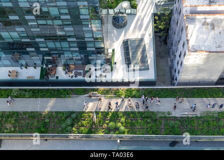 Die High Line, städtischen Park saniert Von einem verlassenen erhöhten Schiene Linie in Chelsea, Manhattan, New York City, NY/USA Stockfoto