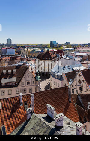 Luftbild der Altstadt von Tallinn vom Turm von Tallinn Rathaus gesehen Stockfoto