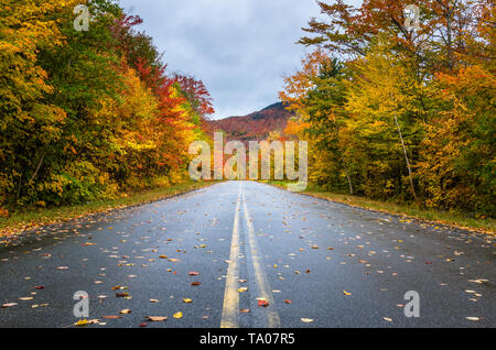 Leere Mountain Road durch eine farbenfrohe Wald an einem verregneten Herbsttag. Adirondacks, Upstate New York, USA Stockfoto