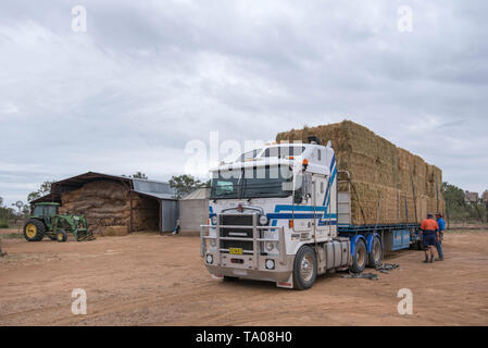 Mai 2019 Burren Kreuzung: Bauer, Richard Marshall und Fahrer Dave Jordan vorbereiten, um Heu zu entlasten Schafe in der anhaltenden Dürre in Australien zu füttern Stockfoto