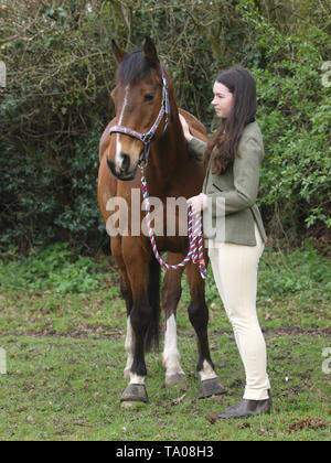 Ein junges Mädchen steht neben ihr Liebling Bay Horse. Stockfoto