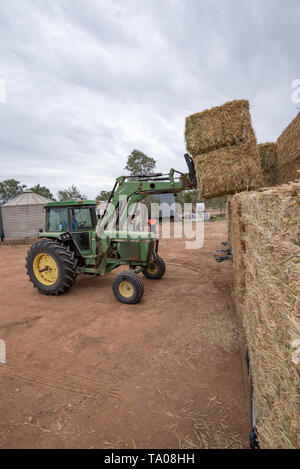 Einen großen grünen Traktor mit Heu Gabel Aufzüge rechteckigen Heuballen von der Seite der Auflieger auf einem Bauernhof in der Nähe von Burren Kreuzung in Australien Stockfoto