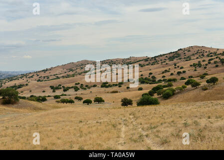 Nationalpark Vashlovani die trockensten Wüsten in Georgien. Panoramablick auf Berge und Schluchten in kachetien Georgien. Stockfoto