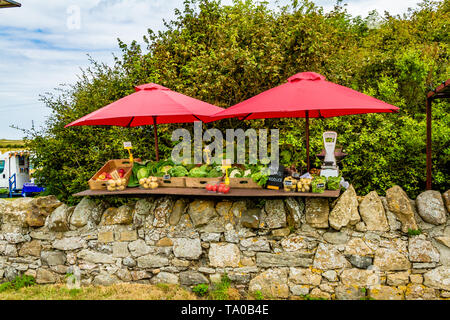 Obst und Gemüse frische Produkte stehen oder stehen, Verkauf von frischen Produkten für Besucher der heiligen Insel von Lindisfarne, Northumberland, Großbritannien. Stockfoto