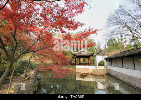 Der Demütige Administrator Garten ist eine berühmte klassische Garten in Suzhou. Er ist der größte Garten in Suzhou und gilt allgemein als einer der zu sein Stockfoto