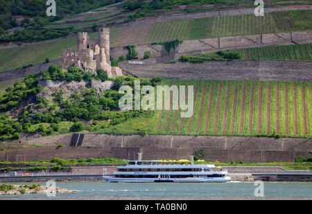 Exkursion Boot an der Ruine Burg Ehrenfels, Weltkulturerbe der UNESCO, Bingen am Rhein, Oberes Mittelrheintal, Rheinland-Pfalz, Deutschland Stockfoto