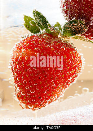 Sekt Champagner und Erdbeeren auf weißem Hintergrund Stockfoto