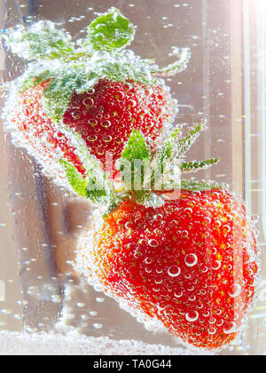 Sekt Champagner und Erdbeeren auf weißem Hintergrund Stockfoto