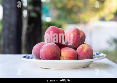 Weiße Platte mit vielen frisch gepflückte Pflaumen Stockfoto