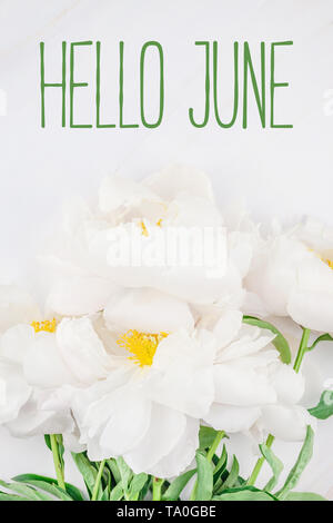 Schönen blühenden Blumen weiße Pfingstrose auf Marmor Hintergrund mit Hallo Juni Textnachricht für Postkarte oder soziale Netze. Hochzeit Einladung und celebrati Stockfoto