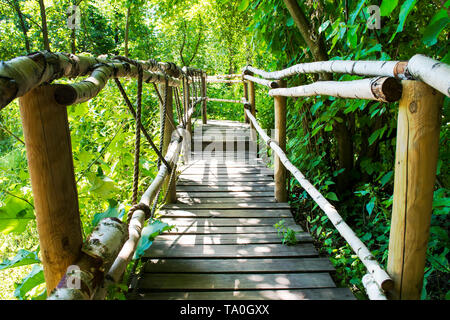 Friedliche Natur Holz- und Hängebrücke im Wald. Stockfoto