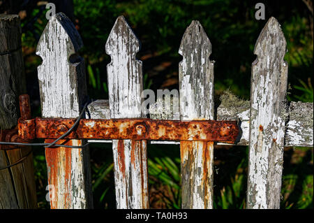 Farbe Tragen eines weißen Lattenzaun mit einem rötlich, rostiges Scharnier Stockfoto