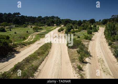 Sandigen Weg zum Cabo Polonio Nationalpark in Uruguay, 4 x 4 Reise Stockfoto