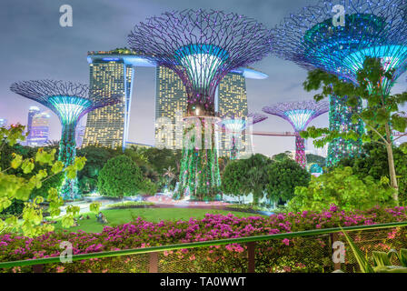 Singapur 26. Januar 2019: die Gärten an der Bucht mit dem Super Bäume bei Nacht, im Hintergrund die Marina von Sands Hotel Stockfoto