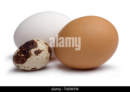 Huhn und Wachteleier auf weißem Hintergrund Stockfoto