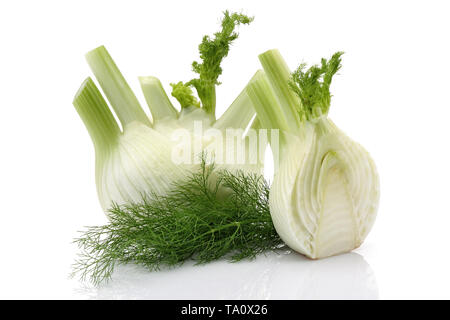 Frischer Fenchel Birne isoliert auf weißem Hintergrund Stockfoto