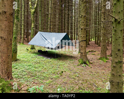 Camping Hängematte, Powys. Großbritannien Stockfoto