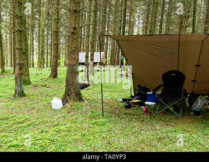 Camping Hängematte, Powys. Großbritannien Stockfoto