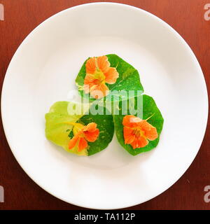 Drei kapuzinerkresse Blätter mit kapuzinerkresse Blumen auf der Oberseite angeordnet, die eng um die Mitte einer Platte Stockfoto