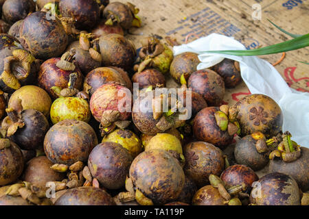 Stapel der Mangostan. Mangosteen oder lila Mangosteen ist ein tropischer immergrüner Baum mit essbaren Früchten native zu Insel in Südostasien. Stockfoto