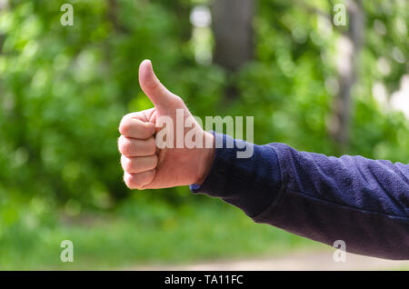 Daumen hoch, um Handzeichen. Mens Geste der Exzellenz, wie Erfolg. Konzept der positive, herzliche Gratulation, gewinnen. Nahaufnahme auf grüne Natur Hintergrund Stockfoto