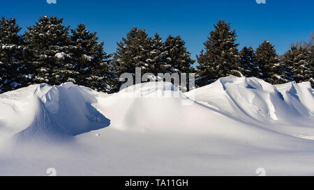 Winter Schneeverwehungen auf den Wiesen in der Nähe von Plum Coulee, Manitoba, Kanada. Stockfoto