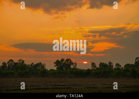 Sonnenuntergang in einem Feld Land im Nordosten von Thailand, Asien Stockfoto