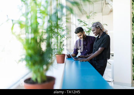 Junge schöne afrikanische Frau pointing at laptop mit einem Lächeln und etwas diskutieren mit ihren indischen Kollegen, während im Büro stehen Stockfoto