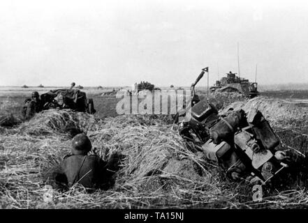 Deutscher Panzer bei einem Angriff auf den Ebenen in der Region Orjol (Orel). Im Vordergrund, ein infanterist sitzen in einem Gewehr Loch, ein Motorrad (vermutlich ein Victoria KR 25/W) und ein panzerabwehr Waffe (vermutlich eine 7,5-cm-PaK 40). Weiter hinten im Bild, eine Reihe von deutschen Panzer. Foto der Propaganda Firma (PK): kriegsberichterstatter Schaefer. Stockfoto