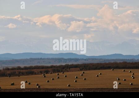 Eisenbahn in Alberta Stockfoto