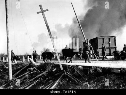 Deutsche Soldaten Vieh entlang einer Straße in Lettland. Rauch steigt in den Hintergrund, die wahrscheinlich aus einem zerstörten Dorf. Foto der Propaganda Firma (PK): kriegsberichterstatter Schroeter. Stockfoto