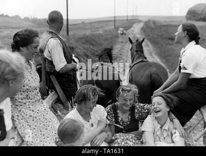 Mitglieder des BDM, die verbringen ihre Landdienst in Ostpreußen (heute Polen), mit einer Kutsche auf dem Erntefeld. Stockfoto