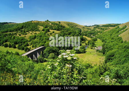 Großbritannien, Derbyshire, Peak District, Blick auf monsal Dale, Grabstein Viadukt & Fluss Wye aus monsal Kopf Stockfoto