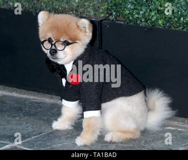 Bentley die Pom bei Anreise für die Lebensdauer des Sommer Luau, W Los Angeles Wet Deck, Los Angeles, CA - 20. Mai 2019. Foto von: Priscilla Grant/Everett Collection Stockfoto