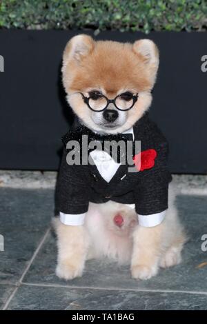 Bentley die Pom bei Anreise für die Lebensdauer des Sommer Luau, W Los Angeles Wet Deck, Los Angeles, CA - 20. Mai 2019. Foto von: Priscilla Grant/Everett Collection Stockfoto