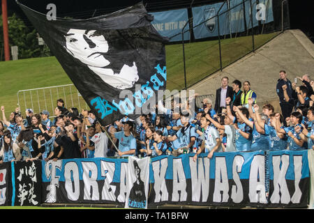 Kogarah, Australien. 21 Mai, 2019. Kawasaki Frontale Unterstützer während der AFC Champions League Match zwischen Sydney FC und Kawasaki Frontale bei Jubiläum Stadium, Kogarah, Australien am 21. Mai 2019. Foto von Peter Dovgan. Nur die redaktionelle Nutzung, eine Lizenz für die gewerbliche Nutzung erforderlich. Keine Verwendung in Wetten, Spiele oder einer einzelnen Verein/Liga/player Publikationen. Credit: UK Sport Pics Ltd/Alamy leben Nachrichten Stockfoto