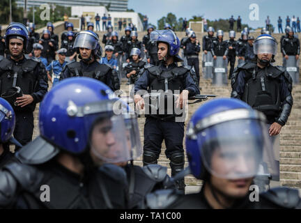 Algier, Algerien. 21 Mai, 2019. Mitglieder der Algerischen Bereitschaftspolizei stand Guard während einer Demonstration gegen die Regierung. Die algerischen Militärs Stabschef am Montag zurückgewiesene Anrufe Präsidentschaftswahlen, die für 04. Juli vorgesehen, einen Nachfolger zu verdrängt Präsident Abdelaziz Bouteflika zu wählen, zu verschieben. Credit: Farouk Batiche/dpa/Alamy leben Nachrichten Stockfoto