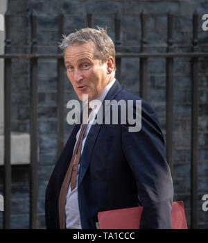 Downing Street, London, UK. 21. Mai 2019. Damian Hinds, Staatssekretär für Bildung, in Downing Street für die wöchentliche Kabinettssitzung. Credit: Malcolm Park/Alamy Leben Nachrichten. Stockfoto