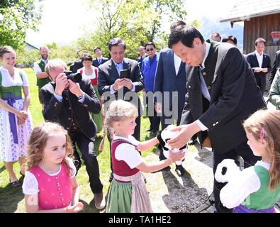 Wien, Österreich. 19 Mai, 2019. Li Zhanshu, Vorsitzender des Ständigen Ausschusses des Nationalen Volkskongresses (NVK), besucht einen Bauernhof in Salzburg, Österreich, am 19. Mai 2019. China's Top Gesetzgeber Li Zhanshu einen offiziellen freundlicher Besuch von Mai 18 bis 21 nach Österreich, wo er mit der Österreichischen Führungskräfte zur Förderung der bilateralen Beziehungen met und Chinas Haltung zur Aufrechterhaltung des Multilateralismus und freien Handel. Credit: Shen Hong/Xinhua/Alamy leben Nachrichten Stockfoto